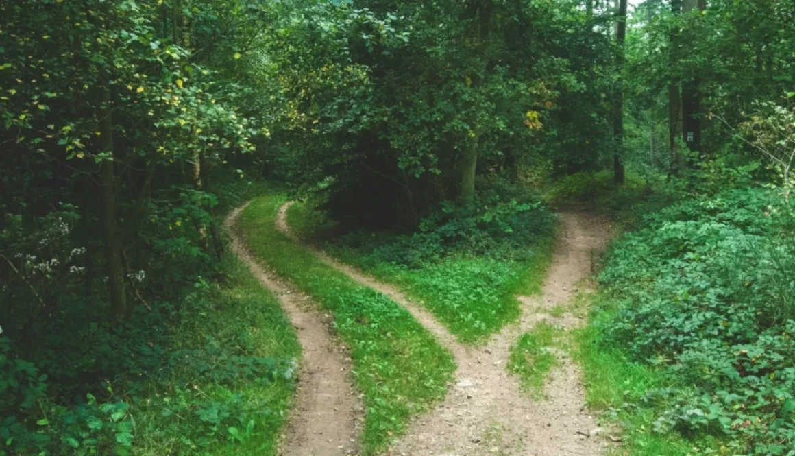 A forest pathway splitting into two directions, symbolizing life choices and decision-making.